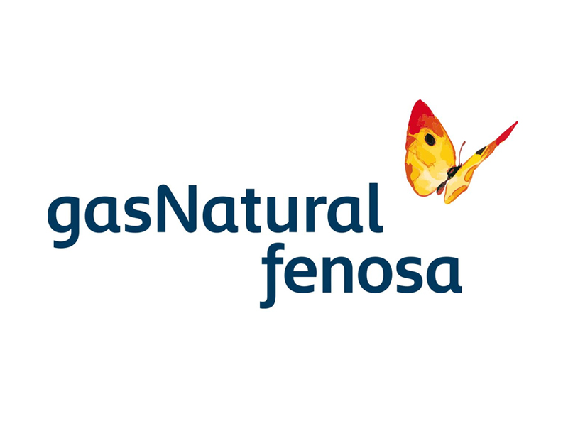FENOSA_Logo
