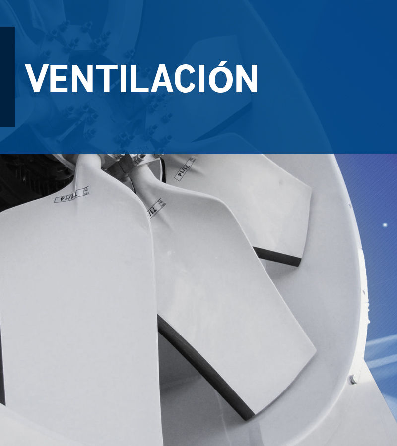 Servicio 6